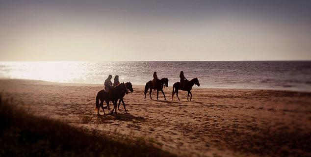 Horse Riding