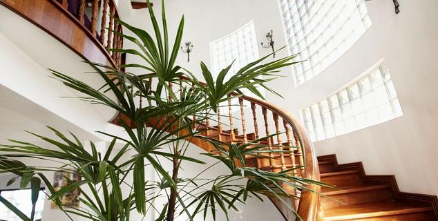 Inside the villa