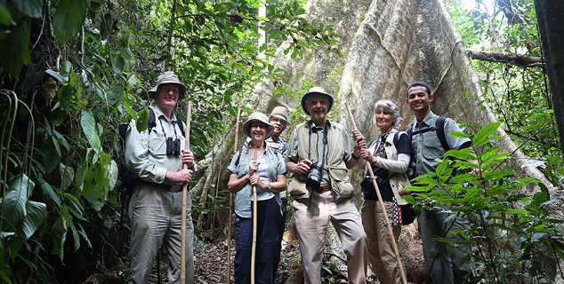 Jungle Trekking