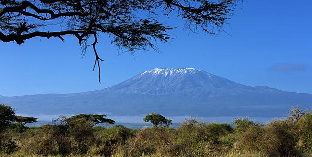 Kilimanjaro view