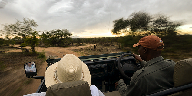Kruger Safari