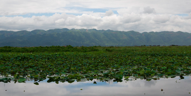 Lake View