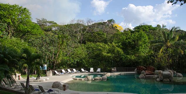 Lush Gardens and Pool