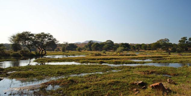 Lush landscape of Ruaha