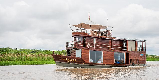 MV Cattleya