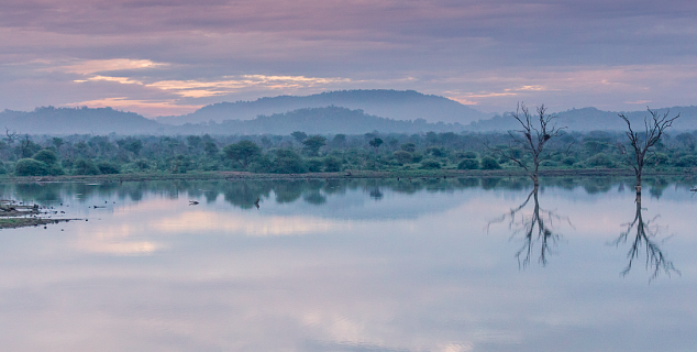 Madikwe, South Africa