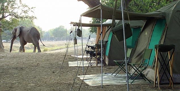 Mana Pools Camping