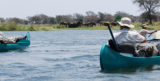 Mana Pools Canoe Safari