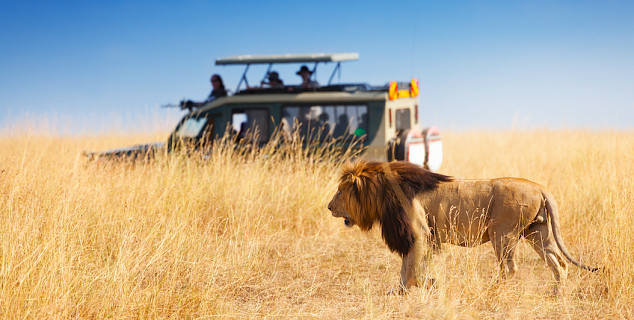 Masai Mara Safari