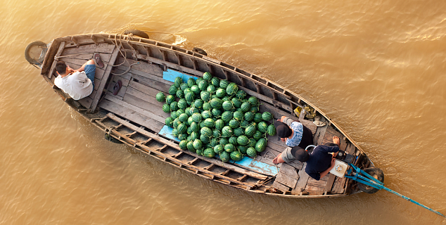 Mekong Delta scene