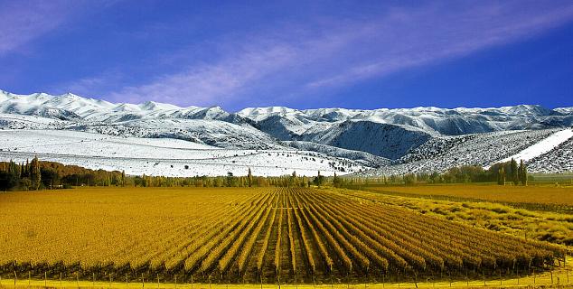 Mendoza