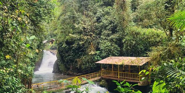 Mindo Cloud Forest