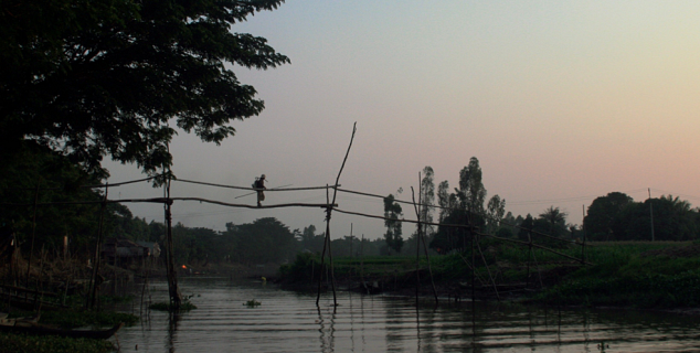 Monkey Bridge