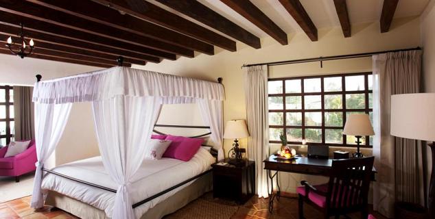 Oasis Room