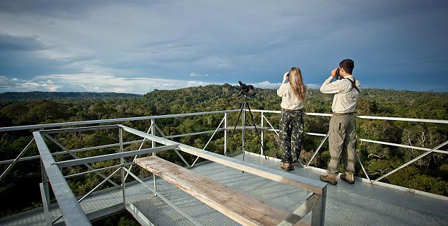 Observation Tower