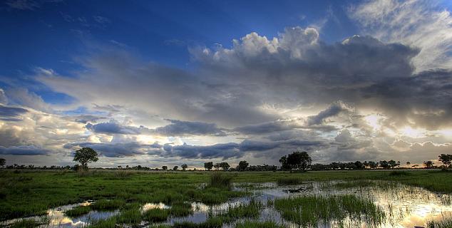 Okavango Delta, Botswana