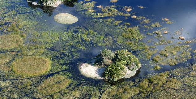 Okavango