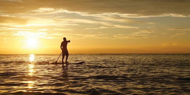 Paddle Board