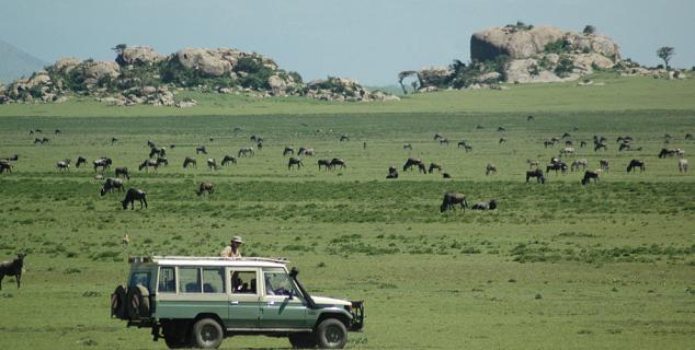 Plains and Kopjes