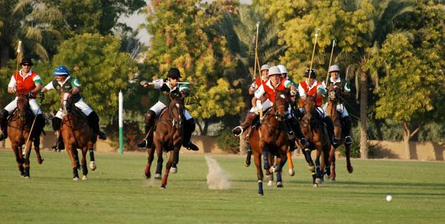 Polo