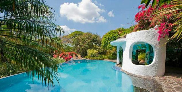 Pool & Garden Area