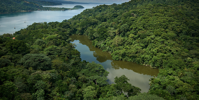 Portobelo