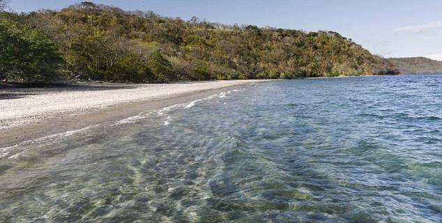 Pristine Water