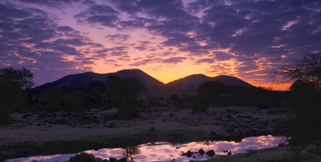 Ruaha Sunset