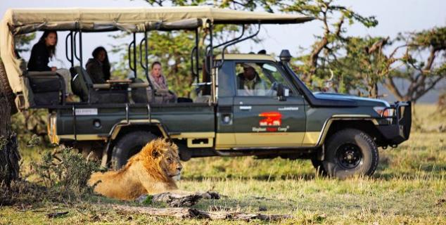 Safari in the Masai Mara Reserve