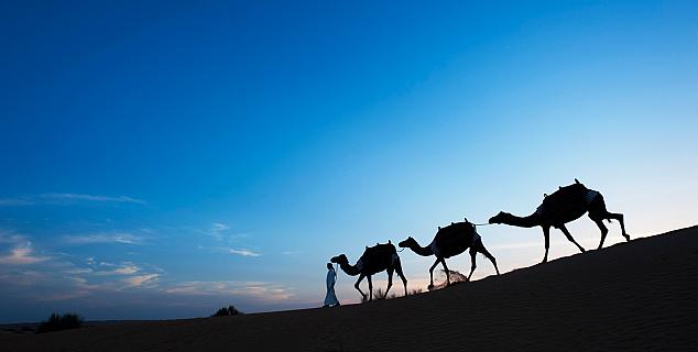 Ships of the Desert