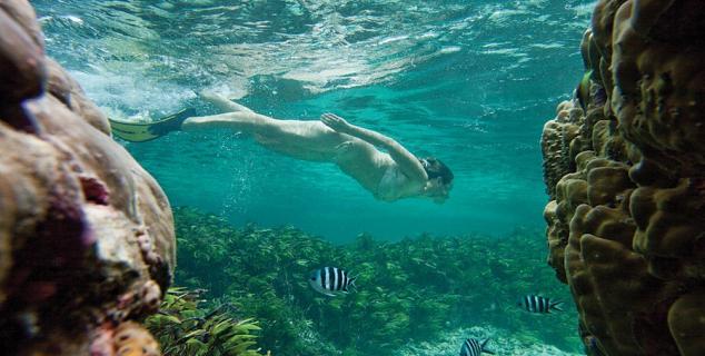 Snorkelling at Desroches