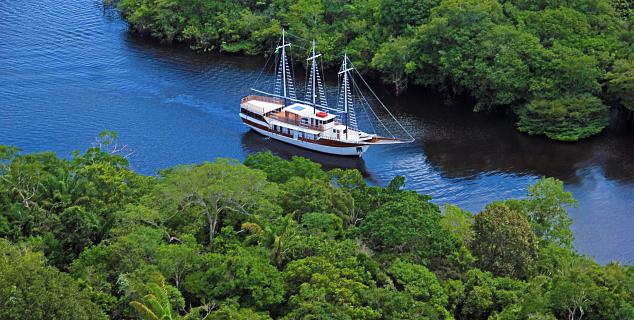 The Amazon River