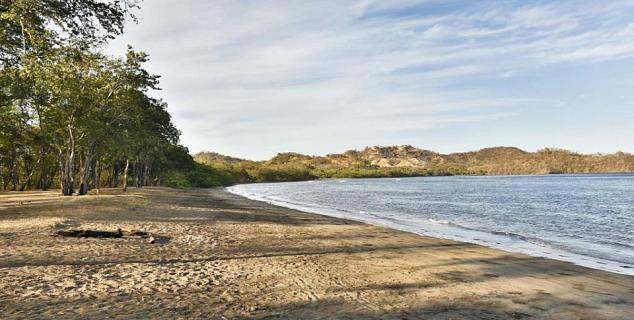 The Beach