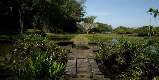 The Broad Walk