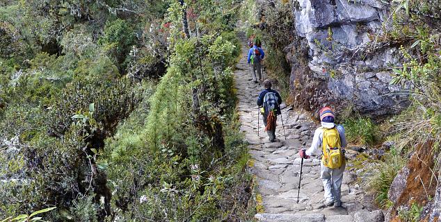The Original Trail to Machu Picchu