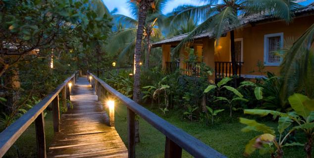 Tropical Gardens
