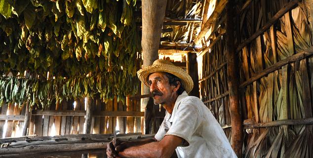 Viñales