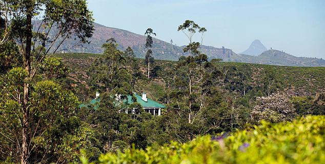 View of Adam's Peak