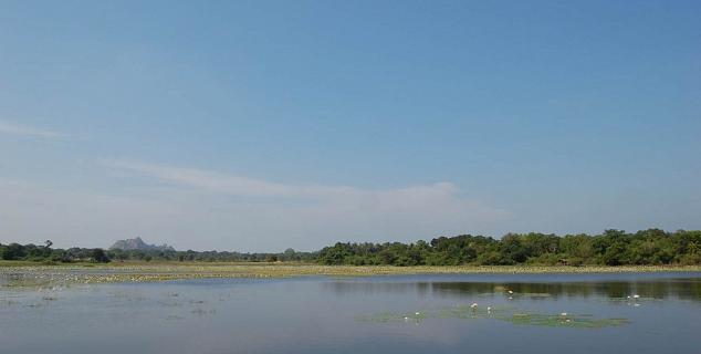 Village Lake