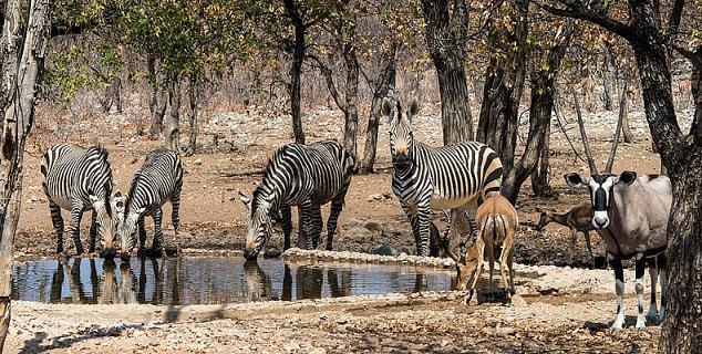 Waterhole at the Camp