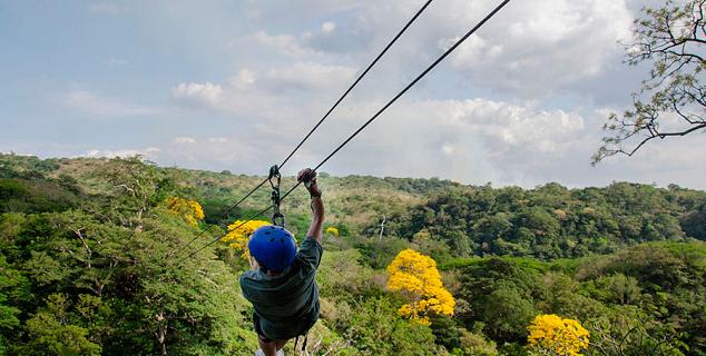 Zip Lining